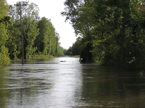 Mississippi River rising at Chotard, Ms. Mississippi River Aesthetic, Rural Mississippi, River Aesthetic, Beautiful America, Lost Memories, Delta Girl, Poster Project, Head Tattoo, American Gothic