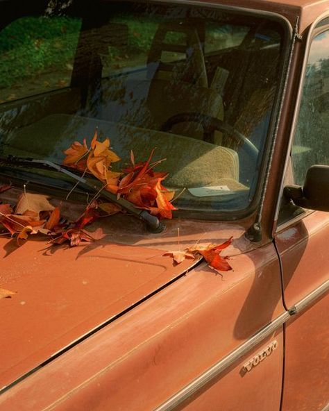 Fall Retro Aesthetic, Nature Red Aesthetic, Auburn Color Aesthetic, Colorful Autumn Aesthetic, Autumn Photography Aesthetic, Fall Hippie Aesthetic, Pale Orange Aesthetic, Rusty Orange Aesthetic, Autumn Mood Board Aesthetic