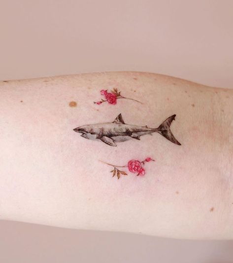 Little Shark Tattoo, Tattoo Ideas Shark, White Shark Tattoo, Shark Tattoo Meaning, Small Shark Tattoo, Shark Tattoo Ideas, Tattoos Meaning, Small Shark, Shark Tattoo