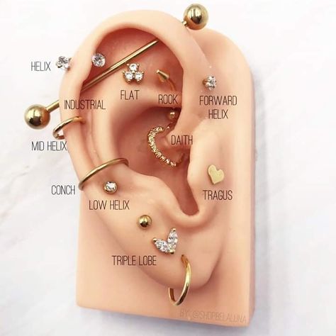 All The Places You Can Get Ear Piercings, Root Piercing Ear, Ears Percinings, Percinings Ear Ideas Chart, Ear Percinings Ideas Both Ears, Types Of Percinings, Ear Piercing Ideas Both Sides Simple, Eat Pericing Ideas Simple, Ear Percinings Chart