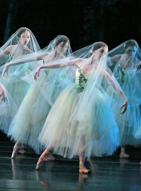 Houston Ballet performing "Giselle" - My all time favorite ballet and my ballet teacher used to dance for Houston Ballet! :D Ballet Giselle, Houston Ballet, Ballet Pictures, Ballet Beauty, Ballet Inspiration, Ballet Photos, Shall We Dance, Classical Ballet, Ballet Photography