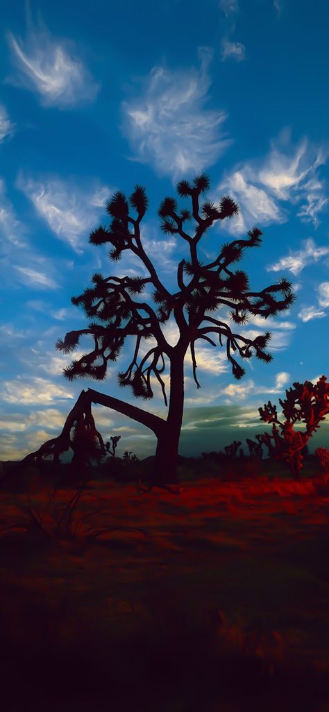 IOS 16 WALLPAPER - JOSHUA TREE | WallpaperiZe - High Quality Phone Wallpapers Backgrounds For Ios 16, Background Ios 16, Ios16 Wallpaper 4k, Ios 16 Background, Joshua Tree Wallpaper, Iphone Ios 16 Wallpaper, Wallpapers For Ios 16, Wallpaper Iphone Ios 16, Tree Sunset Wallpaper