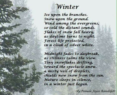 "Winter" - an original poem about winter, nature, and snow by Pamela Joyce Randolph  (Arizona Poet Lady) Forest Poems, Snow Poems, Winter Thoughts, About Winter Season, Pin Ornaments, Gothic Winter, Winter Poetry, Winter Poems, Beautiful Poems