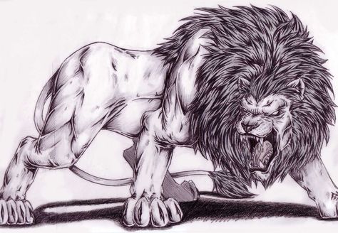 Lion 1 by Dokuro on DeviantArt Lion Angry, Colorful Lion Tattoo, Angry Drawing, Scary Lion, Lion Art Tattoo, Lion Sketch, Angry Animals, Lion Illustration, Lion Drawing