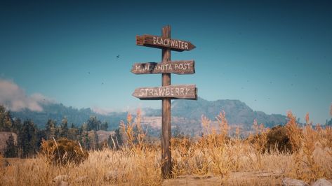 Red Dead Aesthetic, Rdr2 Landscape, Red Dead Redemption Aesthetic, Red Dead Redemption 2 Aesthetic, Rdr2 Photography, Rdr2 Aesthetic, Gaming Journal, Aesthetic Tv, Forget Her