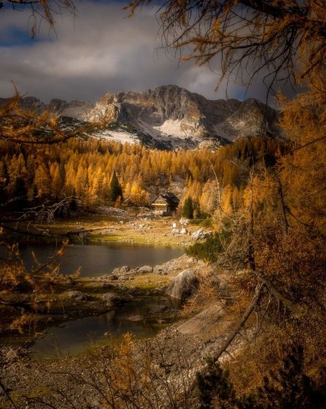 Mountain Aesthetic, Late Autumn, Time To Leave, Life Is A Gift, Autumn Magic, Mountain Photography, Look At The Sky, Autumn Gifts, How To Get Money