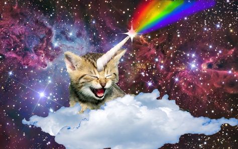 Internet Awesomesauce, Cat From Outer Space, Nerd Cat, Cat Galaxy, Cats In Space, Cat In Space, Funny Cat Jokes, Funny Looking Cats, Galaxy Cat