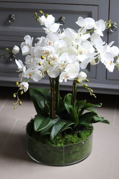 Diy Orchids, Orchid Flower Arrangements, Orchid Centerpieces, Large Flower Arrangements, Home Floral Arrangements, Orchid Arrangements, Flower Arrangements Simple, Modern Flower Arrangements, Flower Arrangements Diy