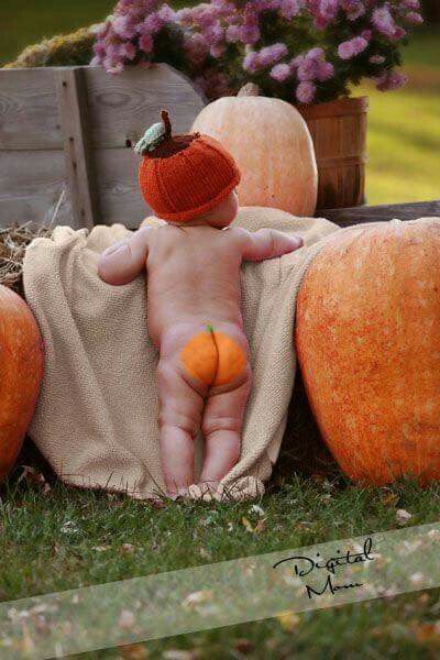 Need to do this with Elias Pumpkin Patch Outfit Kids, Holiday Baby Pictures, Halloween Baby Pictures, Fall Baby Photos, Fall Baby Pictures, Pumpkin Patch Pictures, Photo Halloween, Baby Milestones Pictures