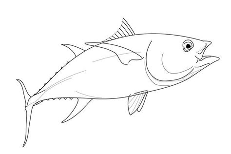 Drawing of a yellowfin tuna on Behance Yellowfin Tuna Drawing, Tuna Fish Drawing, Tuna Drawing, Tuna Tattoo, Simple Anchor Tattoo, Pottery Shapes, Drawn Fish, Fish Drawing, Yellowfin Tuna