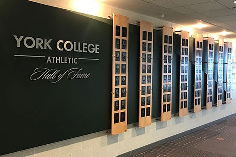 Hall Of Fame Wall Design, Hall Of Fame Wall, Stadium Branding, School Lobby, Fame Ideas, High School Design, Office Wall Design, College Walls, School Hall