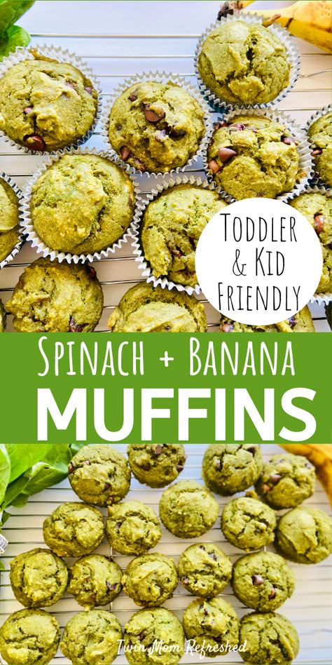 A moist muffin recipe with spinach and bananas.  These spinach and banana muffins are good for snacks or serve with meals.  An easy toddler or kid food idea. Sweet Spinach Muffins With Banana, Banana Carrot Spinach Muffins, Baby Food Muffins Recipes, Muffin Recipes For Toddlers, Spinach Baked Goods, Hidden Banana Recipes, Snacks With Spinach, Banana Veggie Muffins, Spinach Protein Muffins