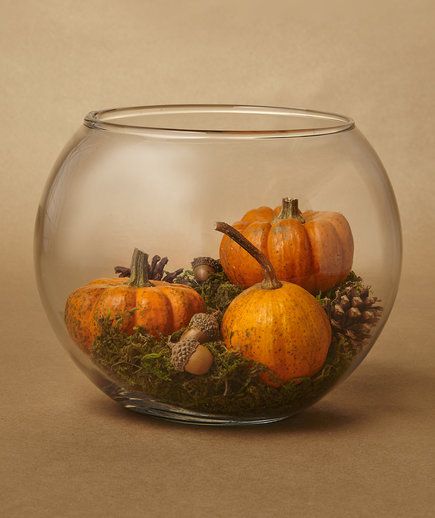 Terrarium | Not every pumpkin needs to be a jack o' lantern. Use the season's best bounty of gourds to decorate your table and wow your dinner guests.Crafts developed by Morgan Levine Thanksgiving Table Crafts, Thanksgiving Table Settings Centerpieces, Terrarium Centerpiece, Table Halloween, Fall Centerpieces, Tafel Decor, Thanksgiving Decorations Diy, Fall Deco, Fall Thanksgiving Decor