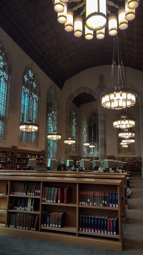 Yale College Aesthetic, Yale University Aesthetic, Yale Dorm, Yale Library, Validation Aesthetic, Academic Validation Aesthetic, Yale Aesthetic, Library Dark Academia, Autumn Study