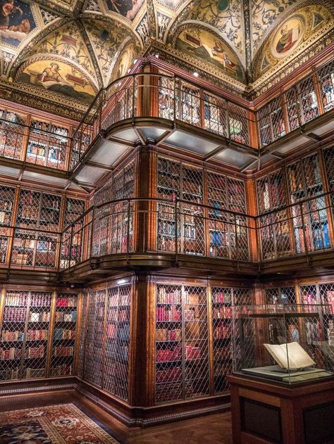 Nyc Library, Beautiful Libraries, Library Interior, Old Libraries, Dream Library, Beautiful Library, Book Stores, Library Architecture, Old Library