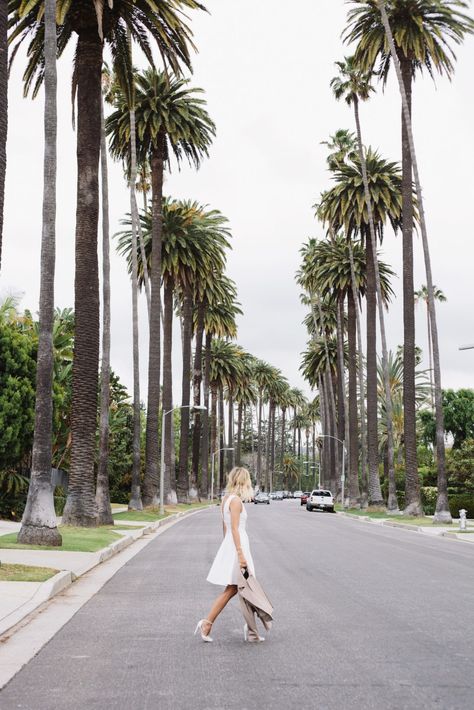 There’s a reason why every blogger under the sun likes to visit the Ace Hotel in downtown Los Angeles and it isn’t just for the avocado toast. After your photogenic brunch, be sure to head up to the rooftop deck for stunning views of downtown. Los Angeles Photoshoot, Los Angeles Pictures, Los Angeles Travel Guide, Palm Tree Photography, Hotel Secrets, Damsel In Dior, Santa Monica Blvd, Photography Los Angeles, Los Angeles Travel