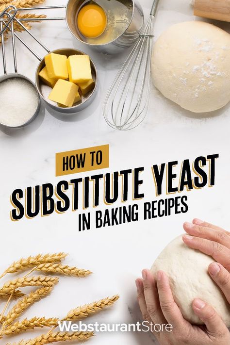 Yeast Substitute, Plantain Lasagna, Baking Powder Substitute, Homemade Gluten Free Bread, Yeast Free Breads, Bakers Yeast, Yeast Packet, Pizza Dough Recipes, Yeast Starter