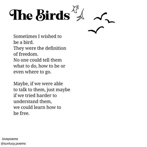 Poems, poetry, birds, freedom. 🪽 Bird Poems Poetry, Poem About Birds, Short Bird Quotes, Poetry About Freedom, Poems About Freedom, Freedom Poetry, Freedom Poems, Birds Freedom, Freedom Definition