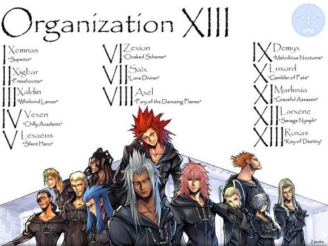 Organization XIII members. IN ORDER!!! Organization Xiii Art, Organization 13 Kingdom Hearts, Games Organization, Kingdom Hearts Organization 13, Sonic And The Black Knight, Sonic 06, Sonic Lost World, Sonic Advance, Reno Sinclair