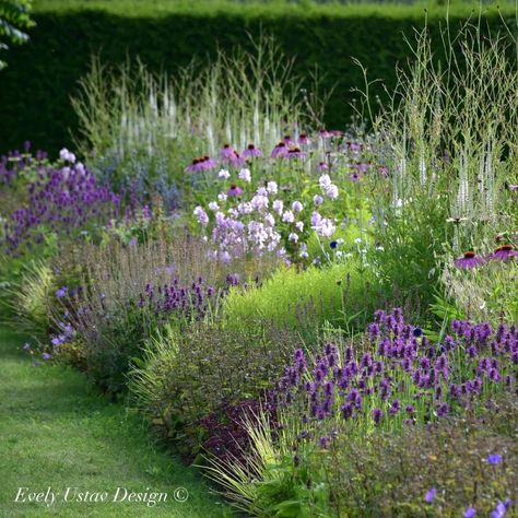 Long Garden Design, Garden Border Design, Lawn Replacement, Shrub Border, Perennial Garden Design, Perennials Flowers, Naturalistic Garden, Garden Desig, Tuscan Garden