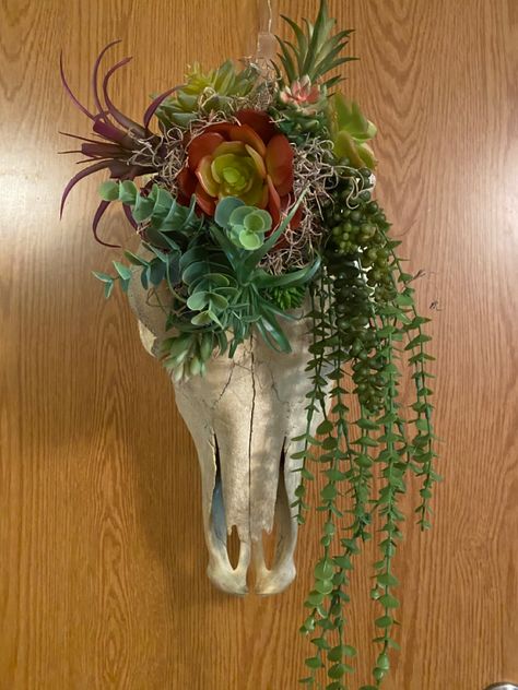 Cow Head Decor, Nature Crafting, Deer Skull Decor, Skull Ideas, Cow Skull Decor, Artificial Succulent Arrangements, Utah House, Show Cows, Cow Skulls