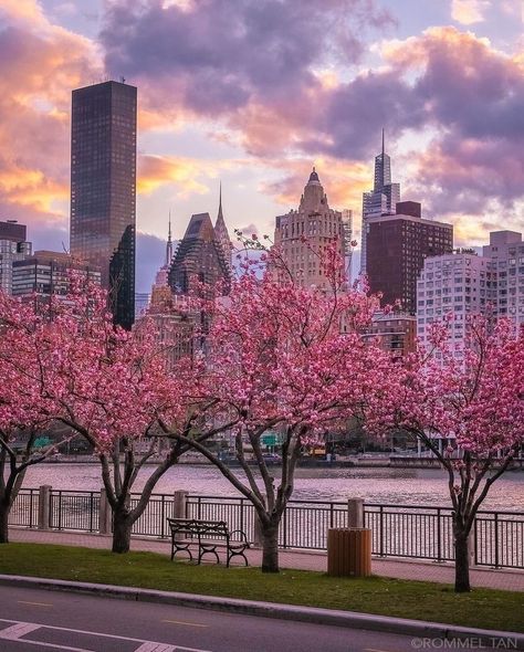 Nyc Wallpaper, New York Penthouse, Roosevelt Island, Spring Scene, Empire State Of Mind, Nyc Aesthetic, New York Life, New York City Travel, I Love Ny