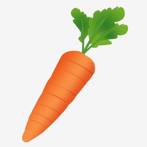 Carrot Clipart, Orange Vegetables, Carrot Cartoon, Orange Images, Vegetable Clipart, Orange Clipart, Orange Carrots, Baby Zoo Animals, Orange Farm