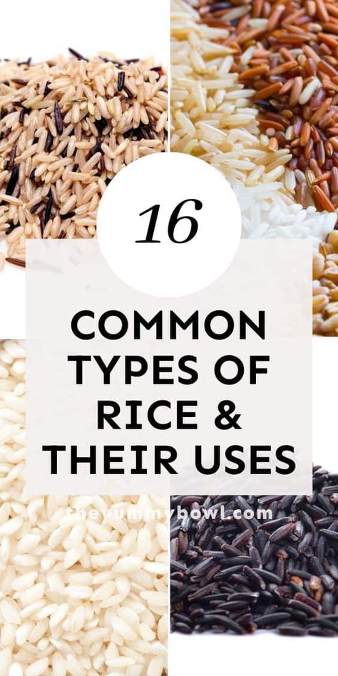 Learn about 16 commonly used types of rice (with photos), their uses and tips for cooking. Types Of Rice Chart, Different Rice Types, Different Kinds Of Rice, Different Types Of Rice, Types Of Rice, Rice Types, Kitchen Secrets, Rib Tips, How To Make Risotto