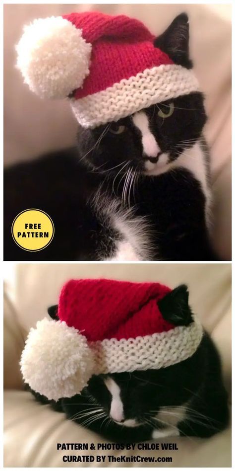 Cat Santa Hat Crochet Pattern, Cat Christmas Hat Crochet, Knitted Hats For Cats, Free Knitting Patterns For Cats, Easy Knitting Projects Christmas, Cat Jumper Knitting Pattern Free, Knitting Cat Hat, Cat Sweater Knitting Pattern Free, Cat Ear Hat Knitting Pattern