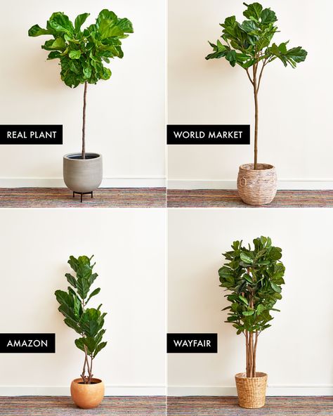 Indoor Faux Plants Decor, Faux Indoor Trees, Scandinavian Bungalow, Fake Indoor Trees, Faux Plant Decor, Ideas Para Decorar Jardines, Gardening Indoors, Fiddle Leaf Tree, Fig Trees