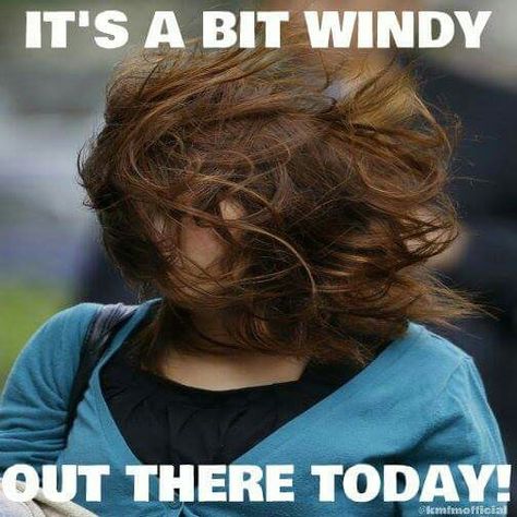 It's a bit windy out here today Windy Hair, Wind Quote, Hair Quotes Funny, Weather Memes, Funny Weather, Hair In The Wind, Weather Quotes, Windy Weather, Hair Quotes