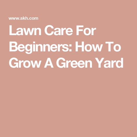 Lawn Care For Beginners: How To Grow A Green Yard Winter Lawn Care, Grass Seed Types, Fall Lawn Care, Spring Lawn Care, Fall Lawn, Types Of Grass, Grass Roots, Water Waste, Yard Care