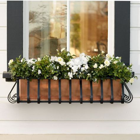 European Cage with Liner Iron Window Boxes, Wrought Iron Window Boxes, Bali Interior Design, Metal Window Boxes, Planters Flowers, Wrought Iron Window, House Curb Appeal, Bali Interior, Planter Liners