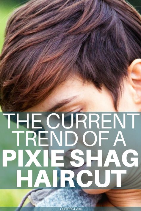 Popular Pixie Haircut, Shaggy Long Pixie Haircut, Haircut For Growing Out Pixie, "shixie" Haircut, Growing Out A Pixie To A Shag, Long Layered Pixie Haircut Fine Hair, Low Maintenance Shaggy Haircut, Pixie Thick Hair, Bixie Shag Haircut