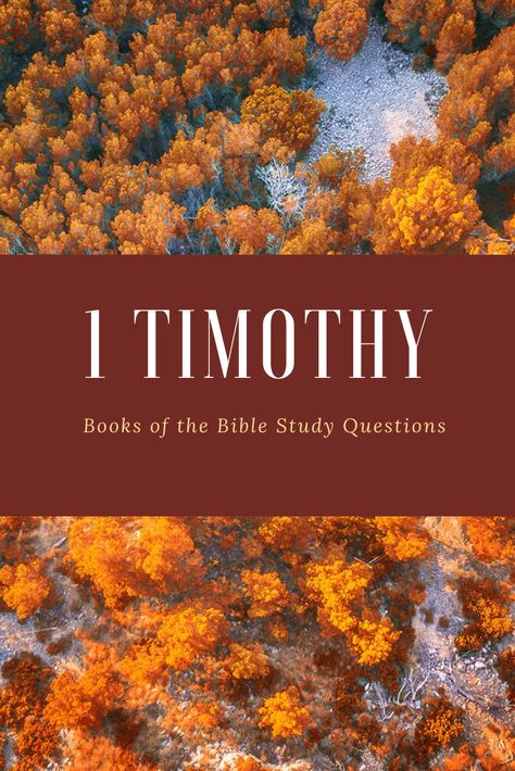 1 Timothy Bible Study, Timothy Bible, Study Binder, Preaching The Gospel, Bible Study Questions, Inductive Bible Study, Bible Books, Scripture Writing Plans, Scripture Writing