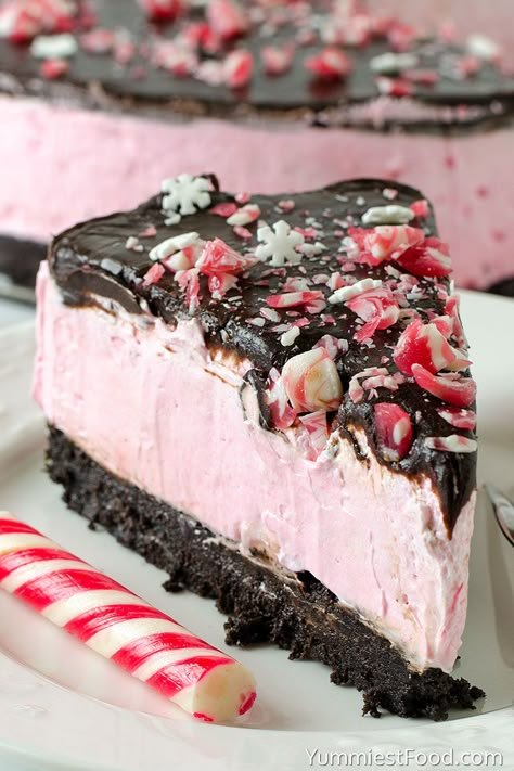 No-Bake Peppermint Cheesecake - Perfect and easy No-Bake Peppermint Cheesecake is the best way to enjoy the delicious holiday flavors in a stunning dessert recipe! #christmas #christmasrecipes #christmasdesserts #easyrecipes #easy #recipe #desserts #dessert #dessertrecipes #dessertfoodrecipes #cheesecakerecipes #cheesecake #peppermintcheesecake Cheesecake Recipe No Bake, Peppermint Cheesecake, Best Christmas Desserts, Cheesecake Chocolate, Cake Mini, Pie Crusts, Dessert Food, Christmas Cooking, Chocolate Cheesecake