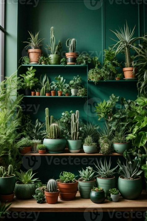 a room filled with potted plants Flowers In Pots, Plants Photography, Home Studio Photography, Garden Farm, Garden Indoor, Plant Photography, Ceramic Flower Pots, Ceramic Flower, Farm Gardens