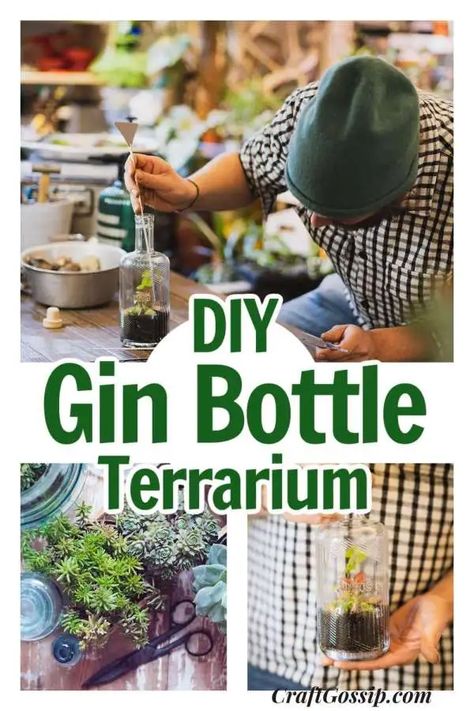 DIY Upcycled Gin Bottle Terrarium – Home and Garden Trivets Diy, Bottle Terrarium, Small Terrarium, Concrete Candle Holders, Garden Balls, Gin Bottle, Bottle Garden, Aloe Plant, Gin Bottles