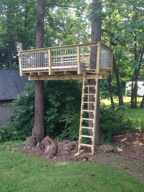 Tree Platform Diy, Tree House Between 2 Trees, Tree House Deck, Garden Tree House, Painting Interior Design, Metal Balusters, Tree Deck, Tree House Plans, Backyard Kids Play Area