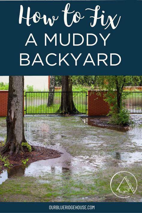 Muddy Side Yard Solutions, Cover Muddy Areas In Yard, Muddy Backyard Solution Landscaping, How To Cover Muddy Areas In Yard, Muddy Yard Solutions, Muddy Backyard Solution, Dirt Backyard, Muddy Backyard, Shady Backyard Ideas