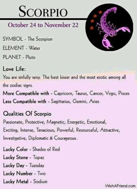 October 30th My birthday Scorpio Attitude, Scorpio Women Quotes, All About Scorpio, Zodiac Quotes Scorpio, Astrology Scorpio, Film Scenes, Scorpio Women, Scorpio Traits, The Scorpions