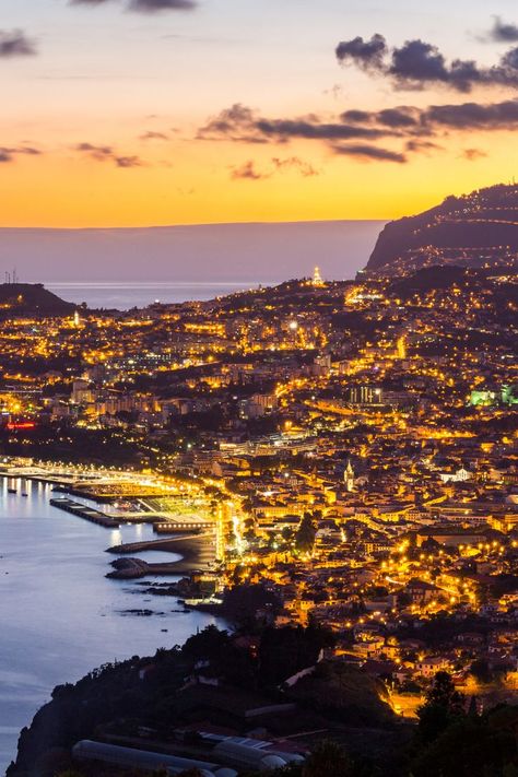 Top 25 Things To Do In Funchal, Portugal Funchal Portugal, Funchal Madeira, Wine Cellars, Funchal, Western Europe, Archipelago, Wine Cellar, Capital City, Plant Life