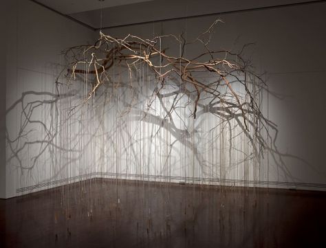 Branch Art, Scenic Design, Australian Art, Museum Of Contemporary Art, Sculpture Installation, Australian Artists, Land Art, Exhibition Design, Urban Art