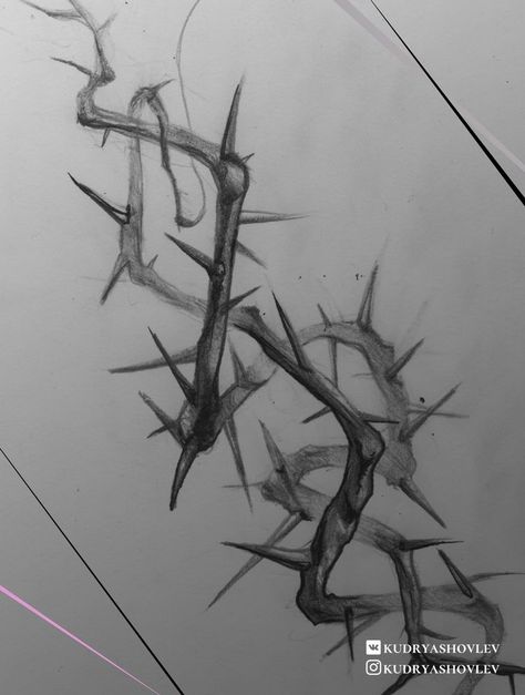 Thorny Vines Drawing, How To Draw Thorns, Thorn Reference, Thorn Crown Drawing, Crown Of Thorns Drawing, Thorns Tattoo Design, Thorn Vine Tattoo, Thorns Drawing, Crown Of Thorns Tattoo