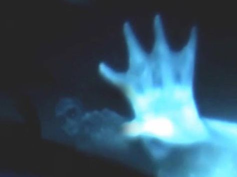 Real Mermaid Sightings | ... mermaids from last year, "Mermaids: The Body Found." Watch short video Mermaids The Body Found, Real Mermaids Sightings, Mermaid Sightings, Latest Ufo Sightings, Latest Ufo, Creature Marine, Mermaid Skeleton, Unexplained Mysteries, Real Mermaids