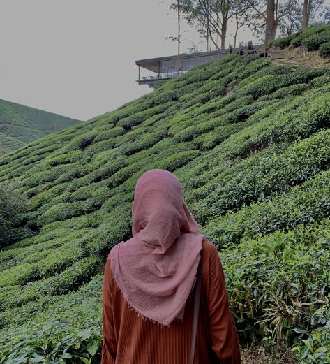 Cameron Highlands Ootd, Ootd Cameron Highland, Cameron Highlands Aesthetic, Cameron Highland, Hypebeast Iphone Wallpaper, Cameron Highlands, Young Forever, Muslim Lifestyle, Hijab Fashion Inspiration