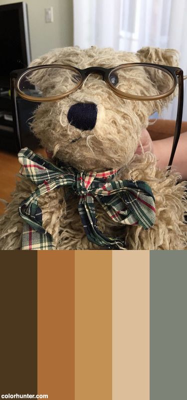 Professor Bear Color Scheme from colorhunter.com Teddy Bear Color Palette, Bear Color Palette, Preppy Stuff, Vintage Teddy Bears, Colour Palettes, Color Collection, Color Combo, Color Pallets, Logo Inspiration