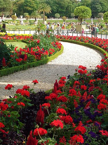 Paris / Jardins du Luxembourg Paris Garden, Flowers Home Decor, Beautiful Paris, Gardening Plants, Flowers Home, Beautiful Flowers Garden, Garden Pathway, Plants Flowers, Decor Minimalist