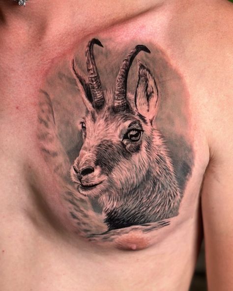 chamois-inspired tattoo! 🏔️🦌 Let's capture the spirit of the mountains and the beauty of these alpine creatures in ink.🌲🎨 #ChamoisTattoo #MountainWildlifeInk #InkAdventure The Spirit, The Mountain, The Beauty, Tattoos, Beauty