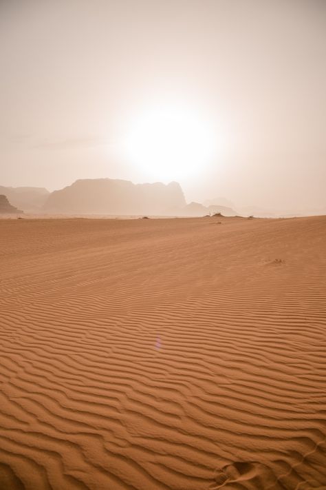 Join me on a desert safari in one of the most breathtaking places in Jordan - Wadi Rum. Wadi Rum is a vast desert offering spectacular views and experience. Follow the footsteps of Lawrence of Arabia with me! © thevivalavita.com Desert Astethic, African Desert Aesthetic, Desert Video, Camping Desert, Desert Creatures, Desert From Above, Jordan Desert, Safari Desert, Sahara Desert Aesthetic Video